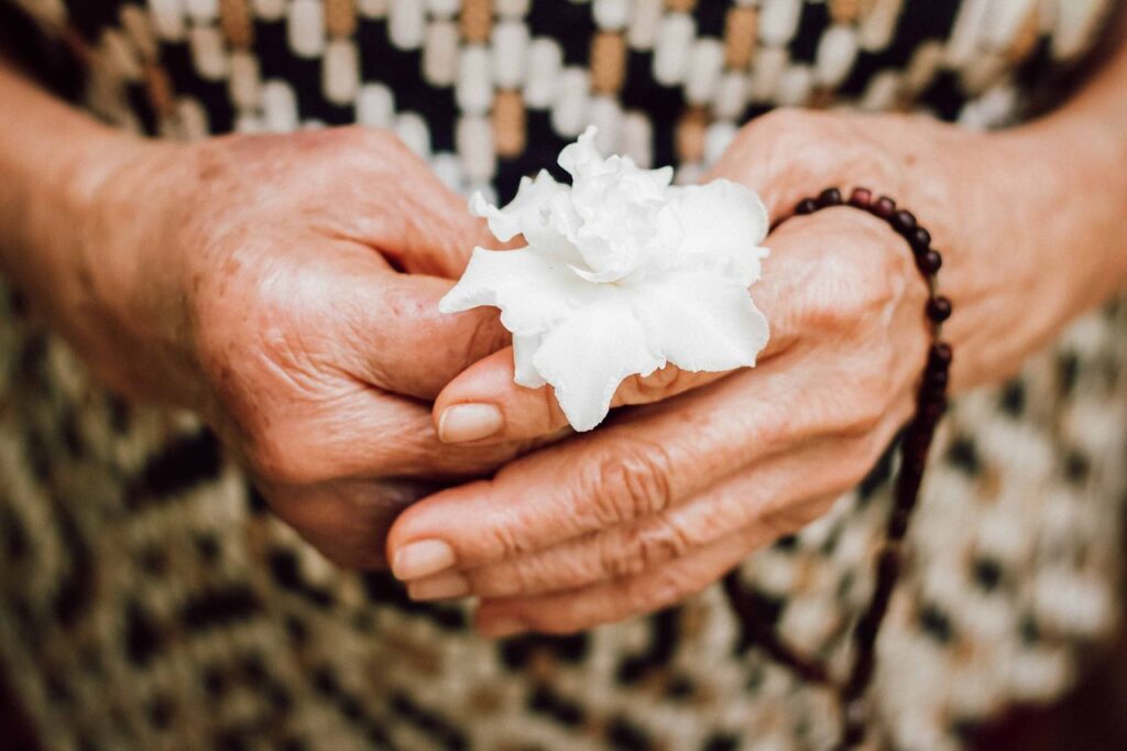 Close-up of senior hands holding a white flower, with prayer beads visible, symbolizing peace.