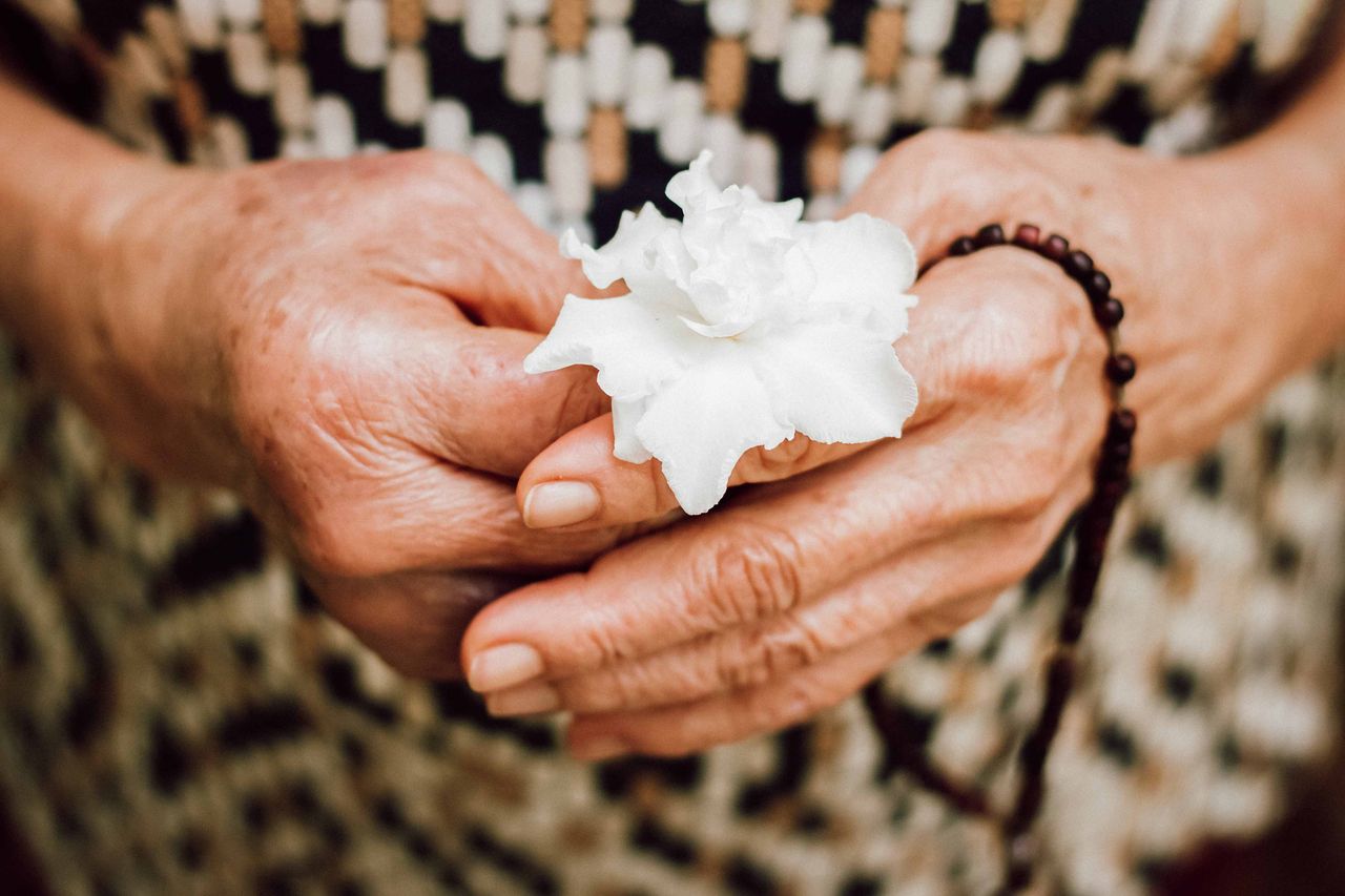 Mastering the First Impression: Your intriguing post title goes here Close-up of senior hands holding a white flower, with prayer beads visible, symbolizing peace.